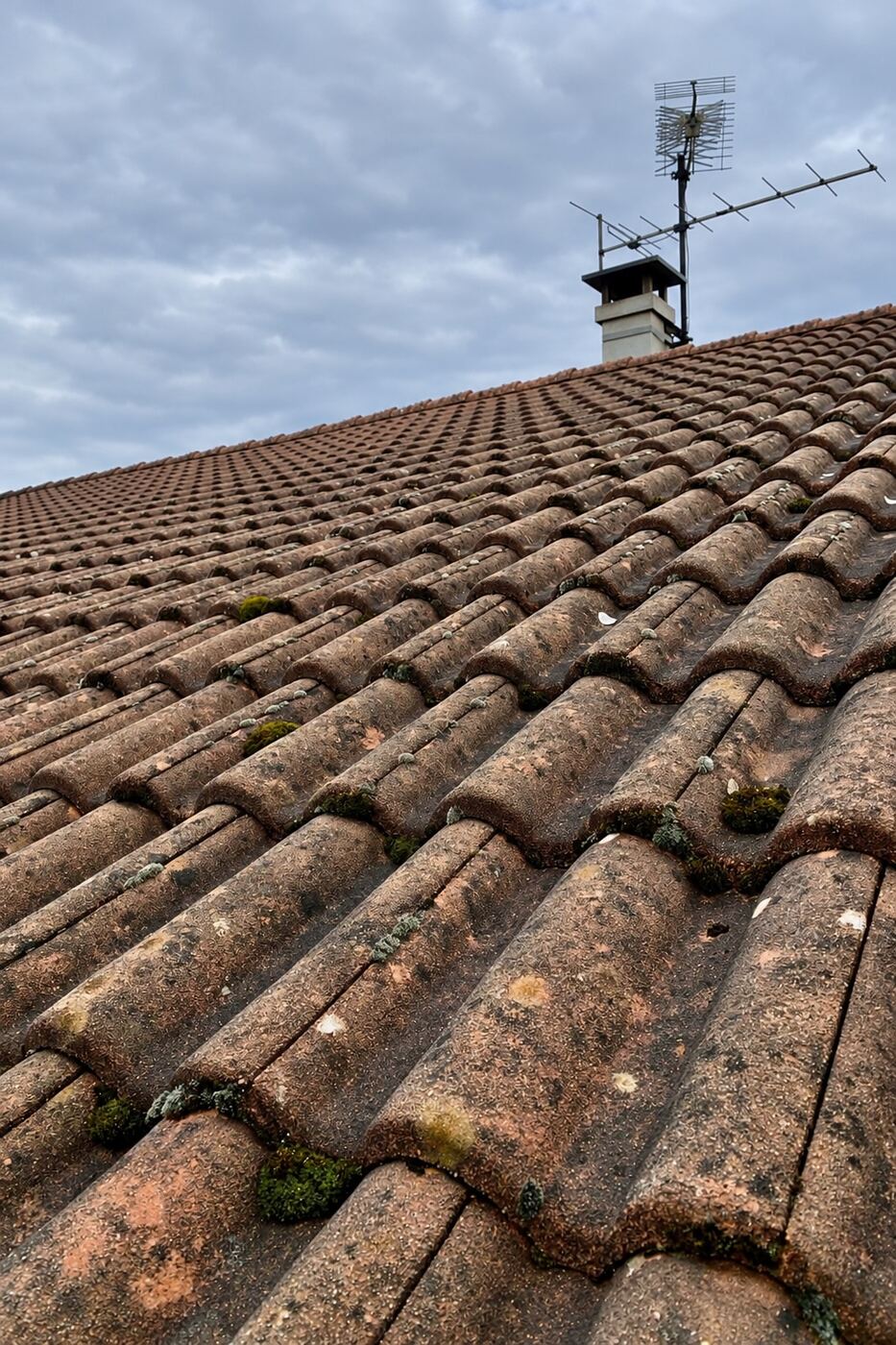 Avant traitement : gros plan sur des tuiles béton, avant et après traitement